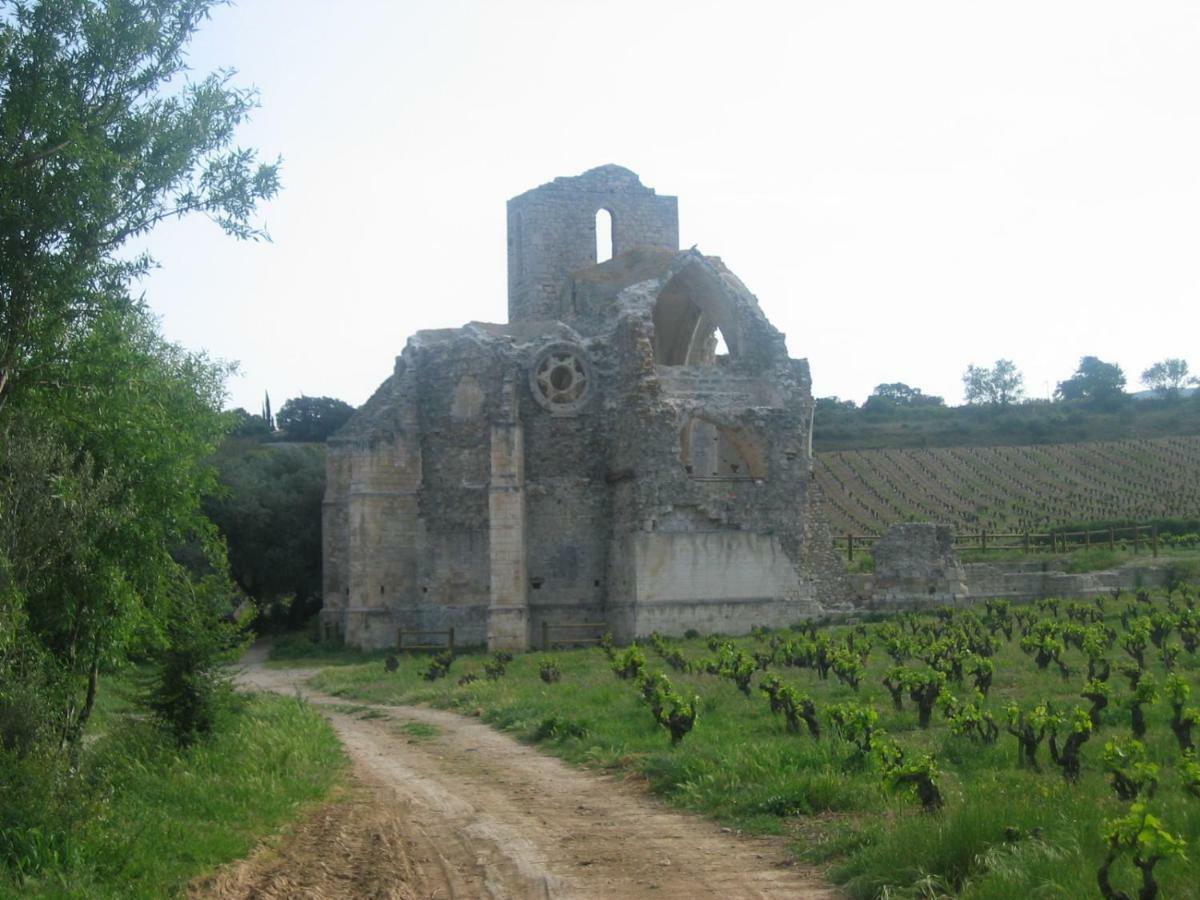 Maison De La Fontaine Embres-et-Castelmaure Екстериор снимка